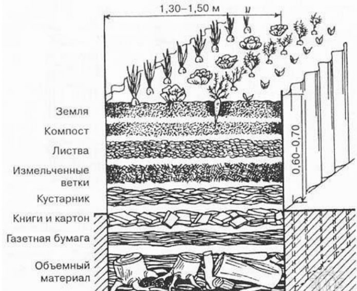 слои теплой грядки слои теплой грядки