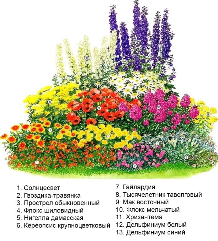 желтые цветы в клумбе желтые цветы в клумбе