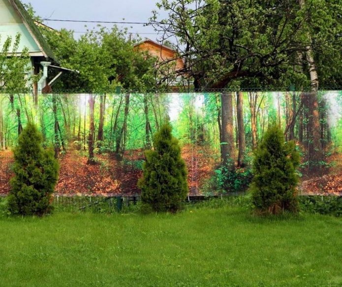 фотосетка на рабице фотосетка на рабице
