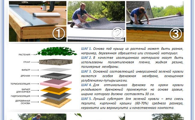 Порівняння матеріалів гідроізоляції покрівлі: що вибрати? SiVi